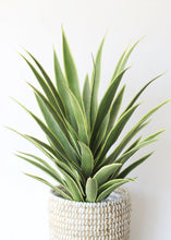 Load image into Gallery viewer, Artificial Variegated Yucca Fake Outdoor Plant - 28"