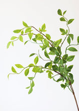 Load image into Gallery viewer, Artificial Nandina Tropical Leaves - 28"