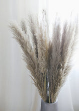 Load image into Gallery viewer, Pack of 25 - Natural Pampas Grass - Ships Alone