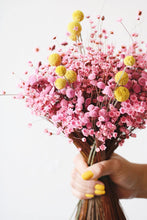 Load image into Gallery viewer, Pink Dried Star Flower