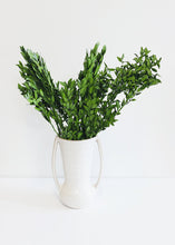 Load image into Gallery viewer, Preserved Boxwood Bundle