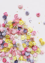 Load image into Gallery viewer, Dried Teasel Flower Heads