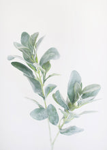 Load image into Gallery viewer, Flocked Lambs Ear Leaf Spray in Grey Green - 28" Tall