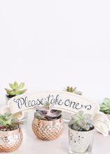 Load image into Gallery viewer, LIVE Rosette Succulent Collection - Pack of 100 - Ships Alone
