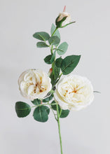 Load image into Gallery viewer, Cream Garden Cabbage Head Rose Faux Flower Spray - 29" Tall