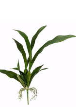Load image into Gallery viewer, Artificial Oncidium Orchid Leaves Plant