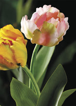 Load image into Gallery viewer, Pink Faux Parrot Tulip Spring Flower