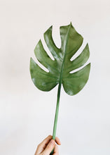 Load image into Gallery viewer, Artificial Split Leaf Philodendron