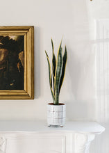 Load image into Gallery viewer, Outdoor/ Indoor Artificial Snake Plant - 24"
