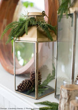 Load image into Gallery viewer, SALE - Real Touch Norfolk Pine Branch - 36" Tall