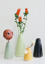 Load image into Gallery viewer, Preserved Coastal Indian Paintbrush Flowers