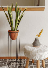 Load image into Gallery viewer, Outdoor/ Indoor Artificial Snake Plant - 24"