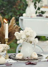 Load image into Gallery viewer, Pack of 8 - Preserved Rose Heads in Champagne White