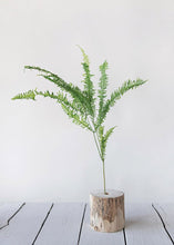 Load image into Gallery viewer, Natural Dried Fern Leaf Bundle