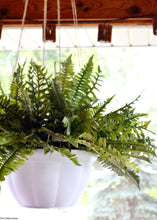 Load image into Gallery viewer, Artificial Boston Fern Bush in Green - 19" - Artificial Plant