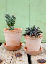 Load image into Gallery viewer, Handmade Terracotta Clay Pot and Saucer - 6.5" Tall x 6.5" Wide with Drainage