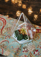 Load image into Gallery viewer, Pack of 3 Mini Artificial Succulents - 1-1.75" Wide