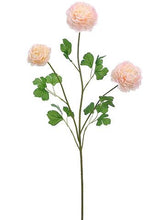 Load image into Gallery viewer, Large Blush Pink Ranunculus Flower - 37"