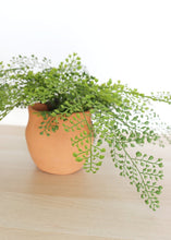 Load image into Gallery viewer, Faux Maidenhair Fern