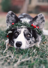 Load image into Gallery viewer, Artificial Holiday Berries in Red - 13"