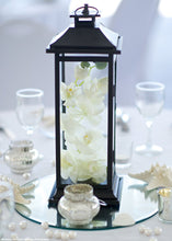 Load image into Gallery viewer, Real Touch Phalaenopsis Orchids in Cream Green - 28" Tall