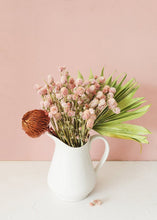 Load image into Gallery viewer, Air Dried Globe Amaranth in Light Pink