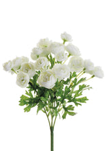 Load image into Gallery viewer, Mini White Cream Silk Ranunculus Bush - 10"