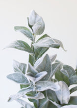 Load image into Gallery viewer, Artificial Lamb&#39;s Ear - 33&quot;
