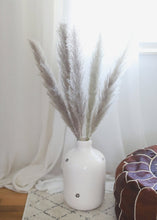 Load image into Gallery viewer, Pack of 5  - Natural Pampas Grass
