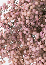 Load image into Gallery viewer, Preserved Pepper Berries in Pink
