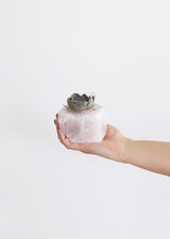 Load image into Gallery viewer, LIVE Succulent with Rose Quartz Planter - Ships Alone
