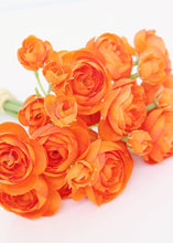 Load image into Gallery viewer, Artificial Ranunculus Bundle in Orange - 11&quot;
