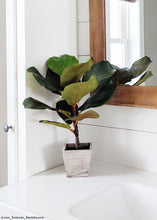 Load image into Gallery viewer, Artificial Fiddle Fig Leaf Plant in Wood Planter - 18&quot; Tall
