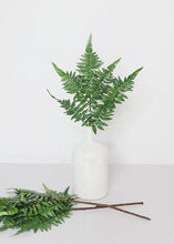 Load image into Gallery viewer, Real Touch Faux Fern Leaf Bundle - 22" Tall - 3 Stems
