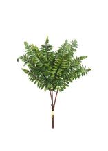 Load image into Gallery viewer, Real Touch Faux Fern Leaf Bundle - 22" Tall - 3 Stems
