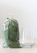 Load image into Gallery viewer, Preserved Stone Moss in Green - .25 lb
