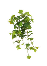 Load image into Gallery viewer, Real Touch Hanging Faux Ivy Bush - 25"
