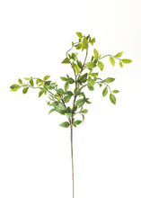 Load image into Gallery viewer, Artificial Nandina Tropical Leaves - 28&quot;
