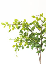 Load image into Gallery viewer, Artificial Nandina Tropical Leaves - 28&quot;
