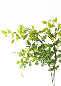 Artificial Nandina Tropical Leaves - 28"
