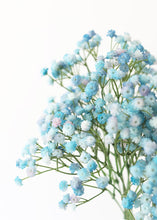 Load image into Gallery viewer, Blue Artificial Gypsophila
