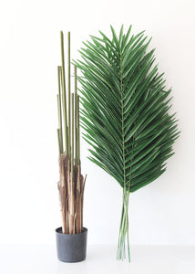 Fake Potted Plants Palm Tree in Pot - 60"
