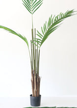 Load image into Gallery viewer, Fake Potted Plants Palm Tree in Pot - 60&quot;
