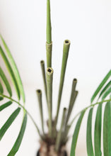 Load image into Gallery viewer, Fake Potted Plants Palm Tree in Pot - 60&quot;
