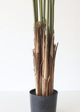 Load image into Gallery viewer, Fake Potted Plants Palm Tree in Pot - 60&quot;
