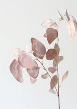 Load image into Gallery viewer, Pink Artificial Velvet Eucalyptus Leaves - 31"
