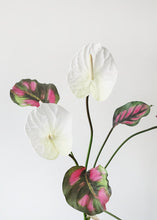 Load image into Gallery viewer, Cream White Large Anthurium Artificial Flower - 27&quot;
