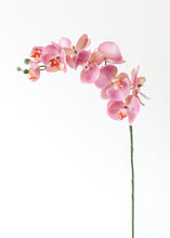 Load image into Gallery viewer, Real Touch Phalaenopsis Orchid in Pink Lavender - 30"
