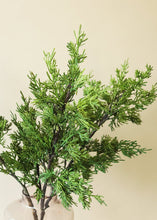 Load image into Gallery viewer, Real Touch Faux Juniper  - 28" Tall
