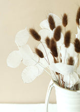 Load image into Gallery viewer, Fake Flower Lunaria Silver Dollar Branch - 42&quot;

